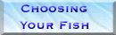 Choosing your fish